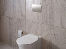 Clapeta actionare Ideal Standard OLEAS M3 Silver Storm R0459GN