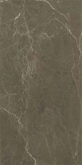 COFFEE BROWN MATTE  60x120 — 3