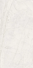 COLORADO BONE L 59.6X120CM