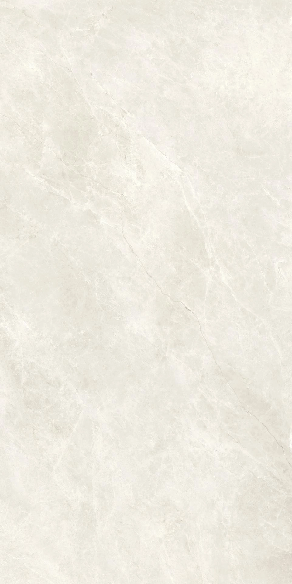 Compact Bone 60x120 Silk