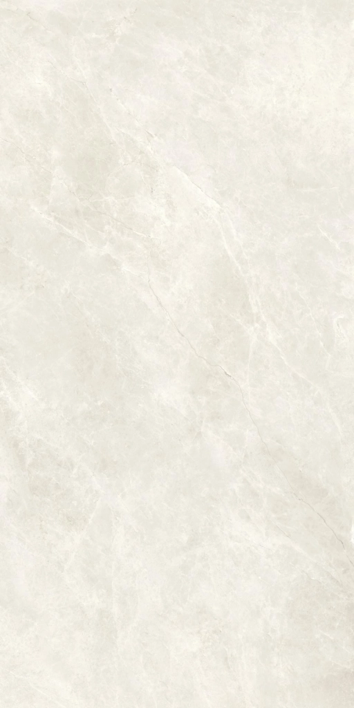 Compact Bone 60x120 Silk