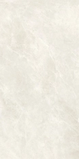Compact Bone 60x120 Silk