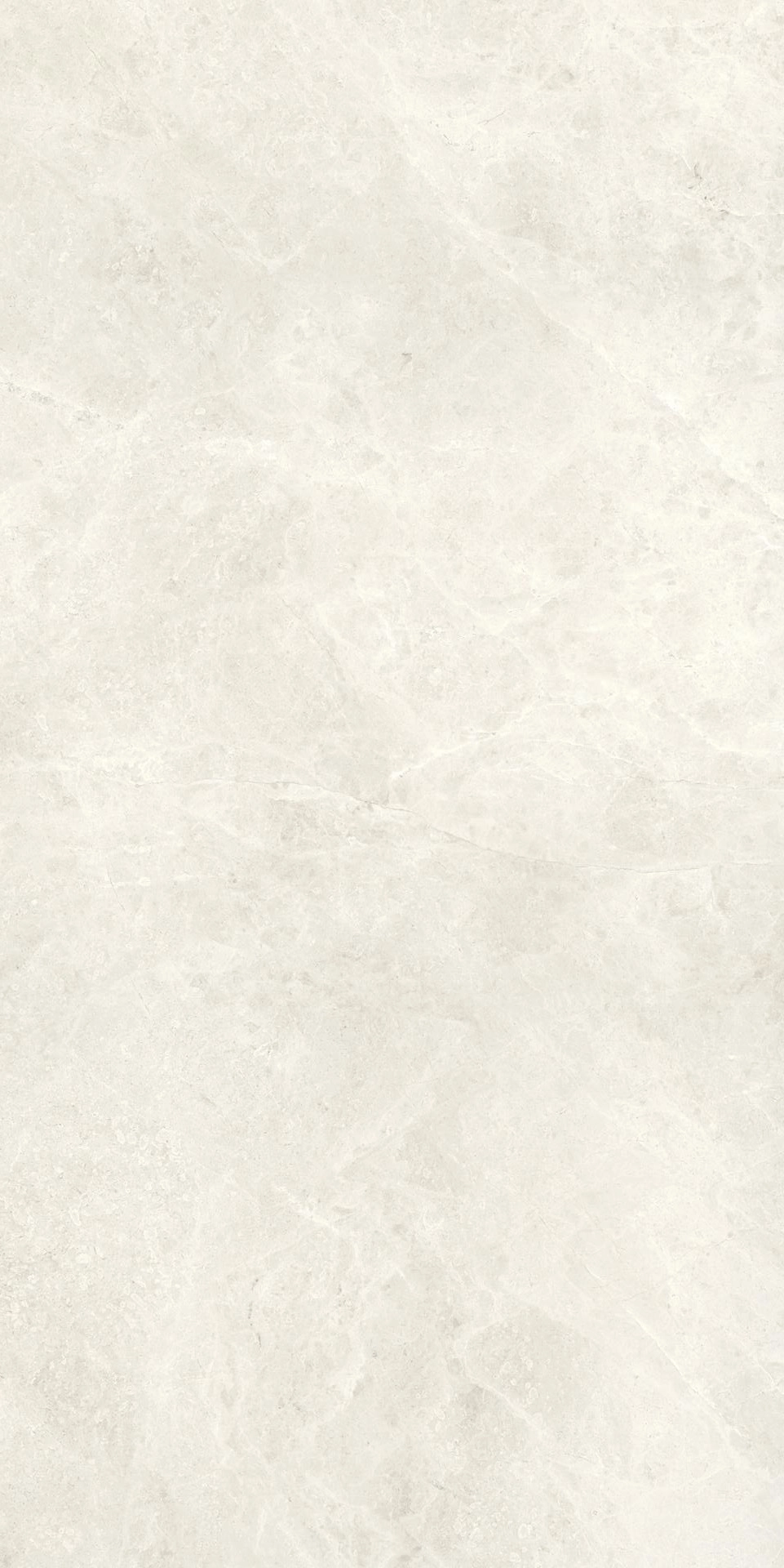 Плитка Compact Bone 60x120 Silk — 2