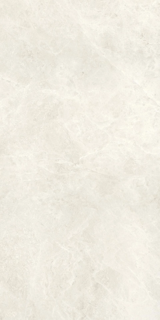 Compact Bone 60x120 Silk