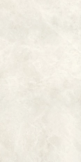 Compact Bone 60x120 Silk