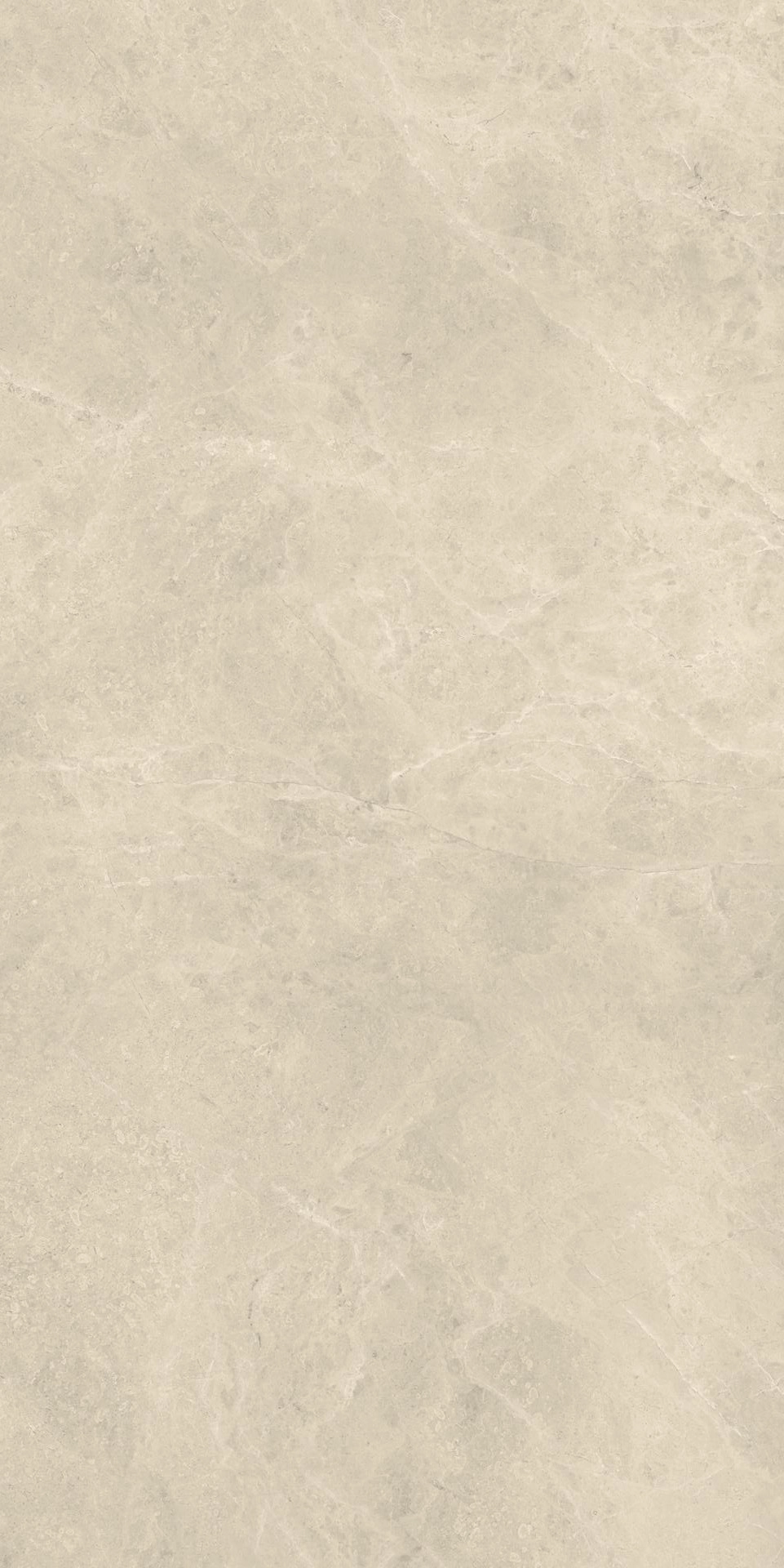 Gresie Compact Dust 60x120 Silk — 2