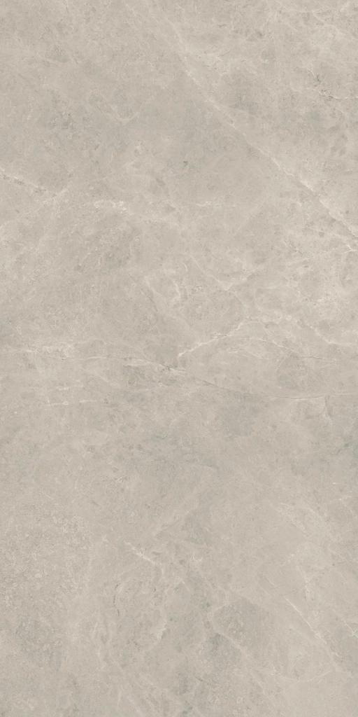 Compact Fossil 60x120 Silk