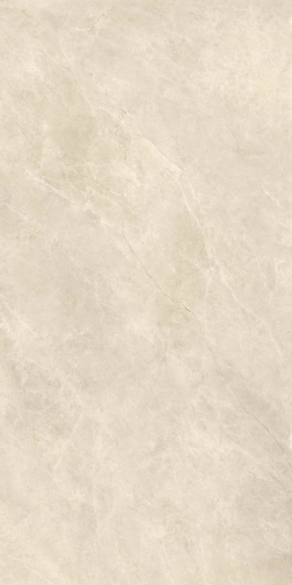 Compact White 60x120 Silk