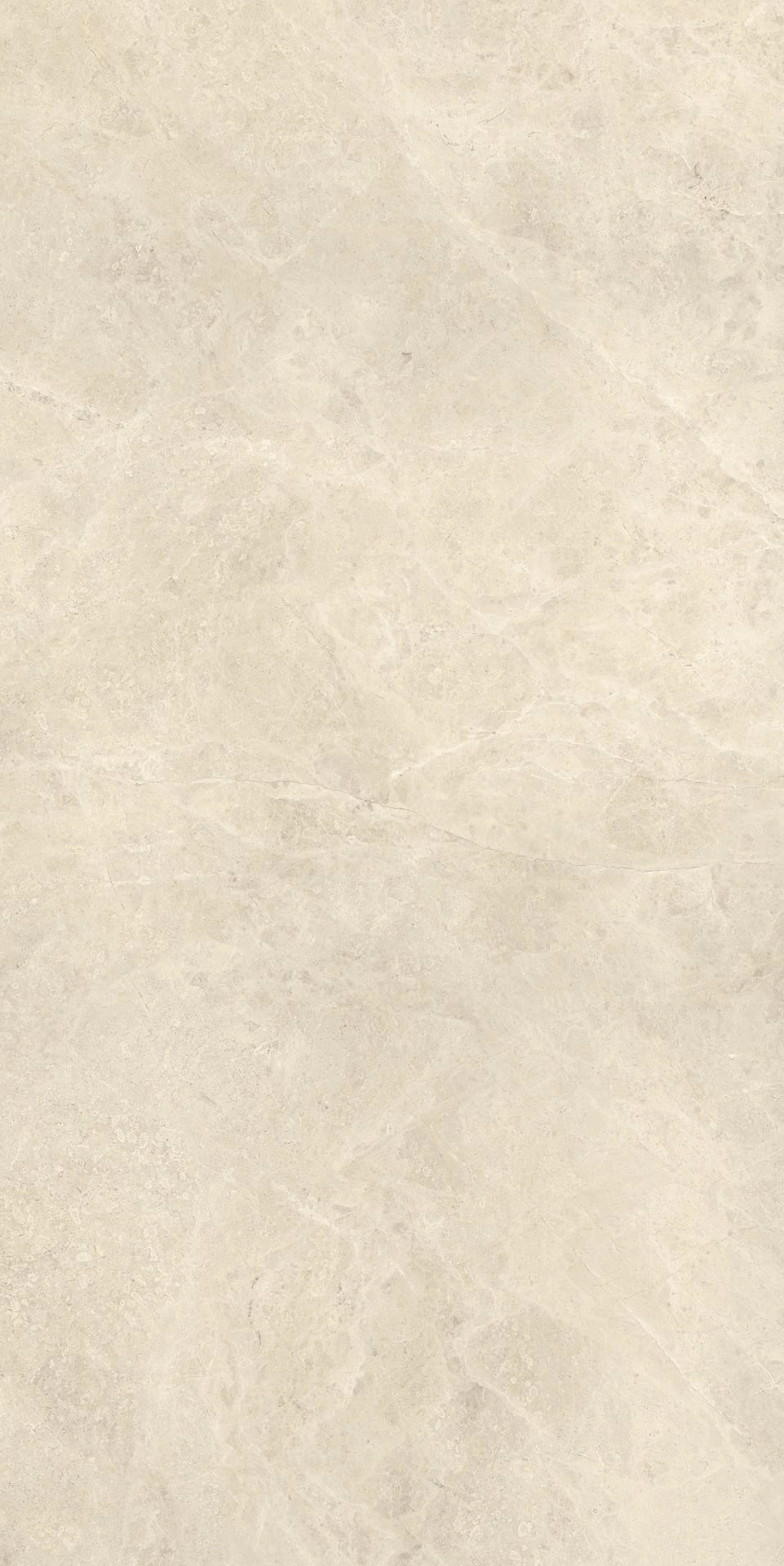 Gresie Compact White 60x120 Silk — 2