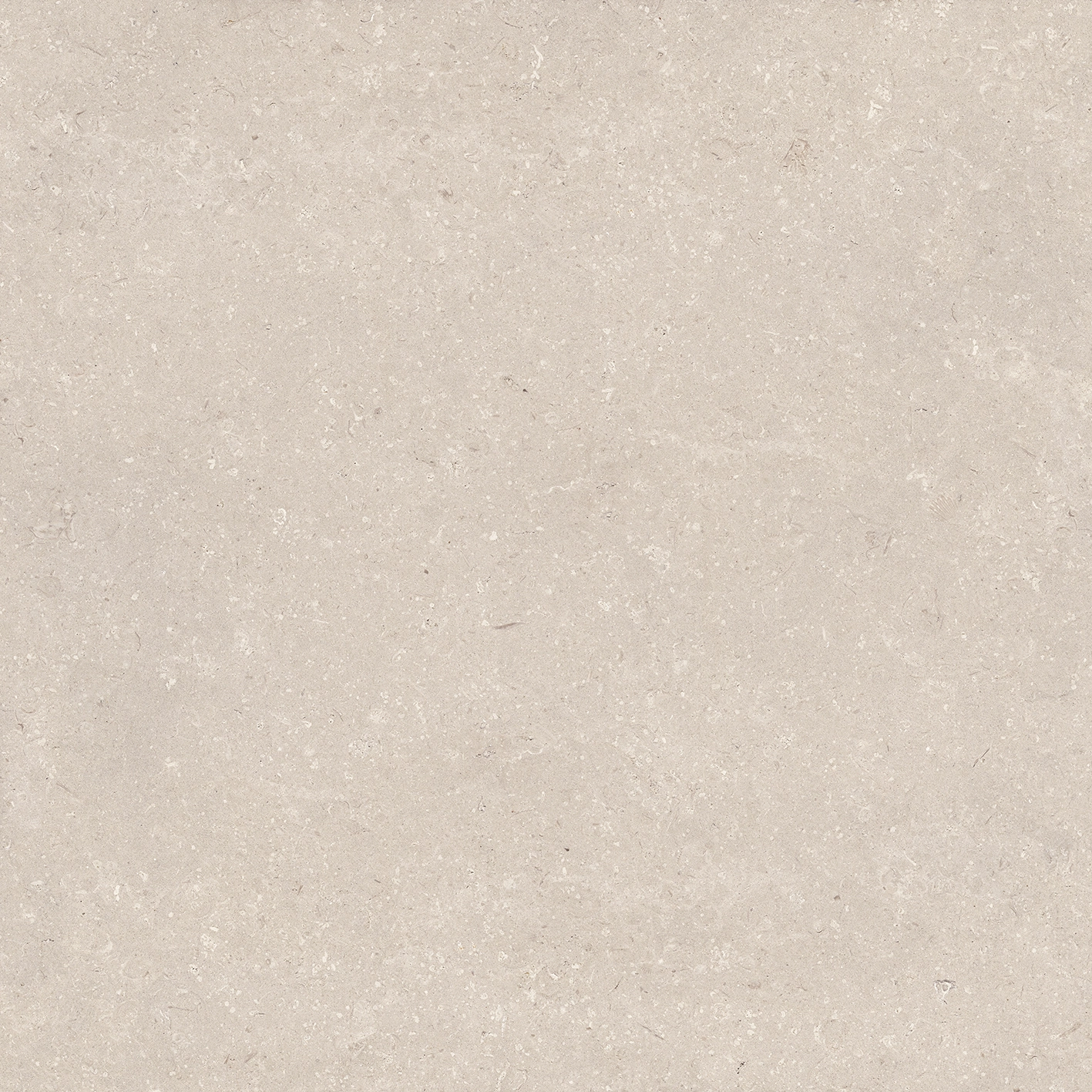 Gresie CORAL CALIZA C-2(R10) L 120X120 — 2