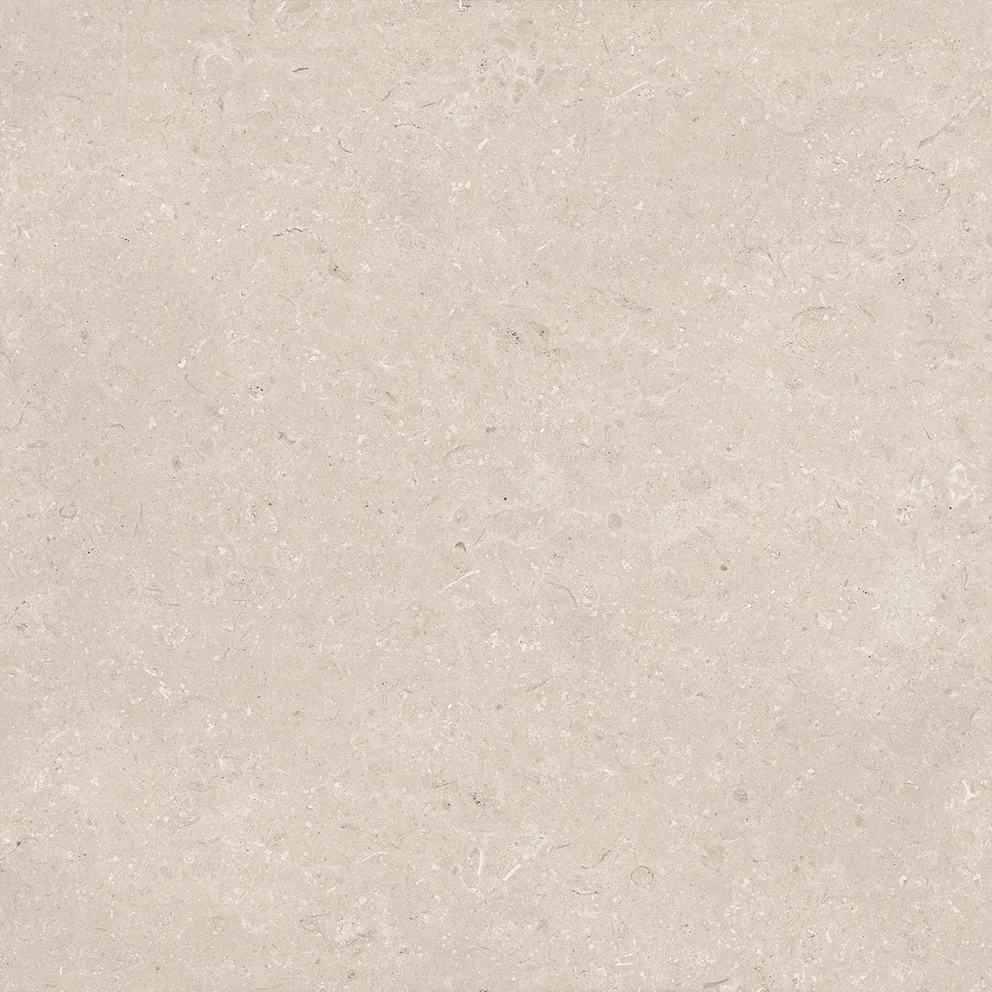 Gresie CORAL CALIZA C-2(R10) L 120X120 — 3