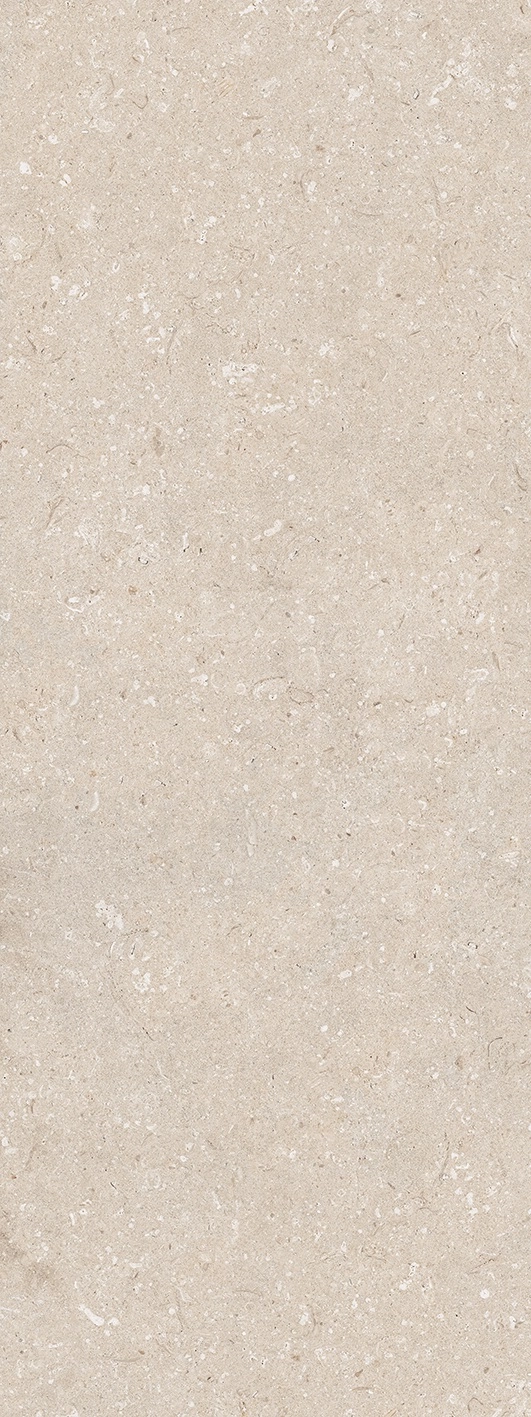 Gresie DECO CORAL CALIZA 45X120 — 3