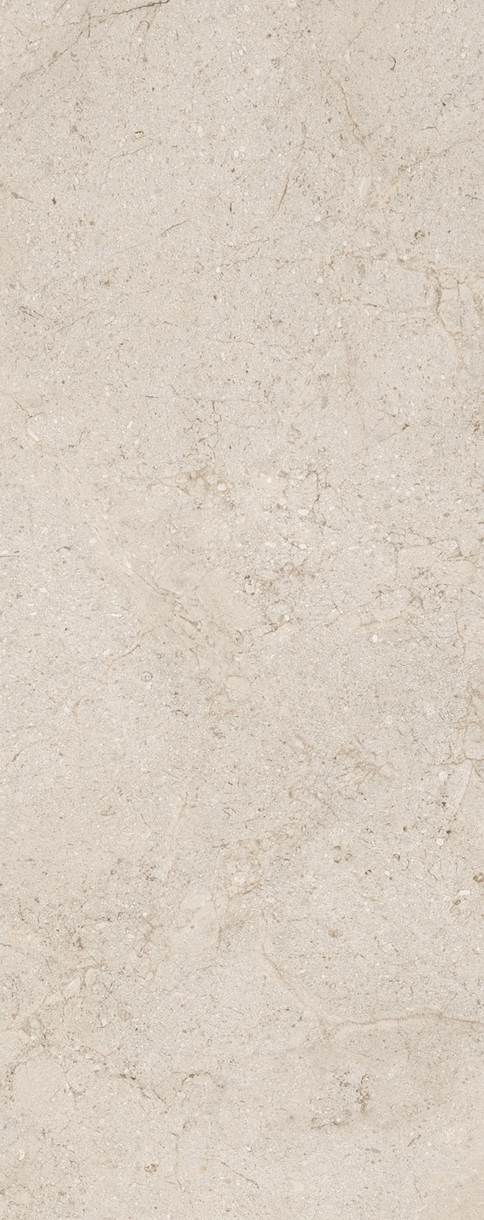 DORCIA BONE 59,6X150