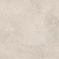 DORCIA BONE L C-2 120X120