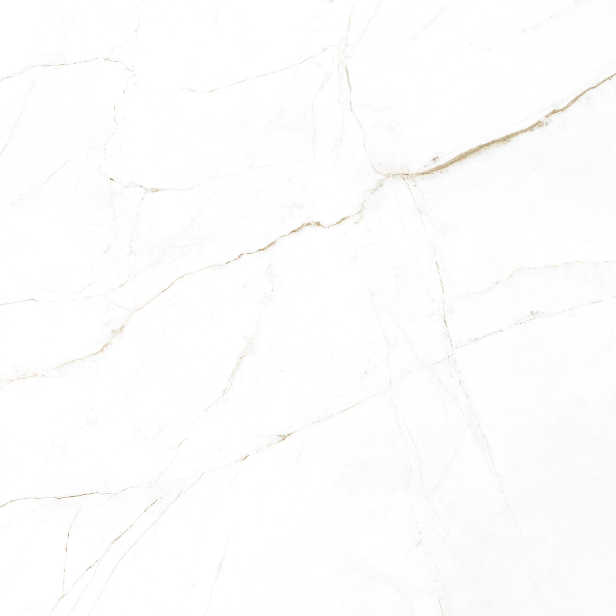 DUAL WHITE SP 100X100