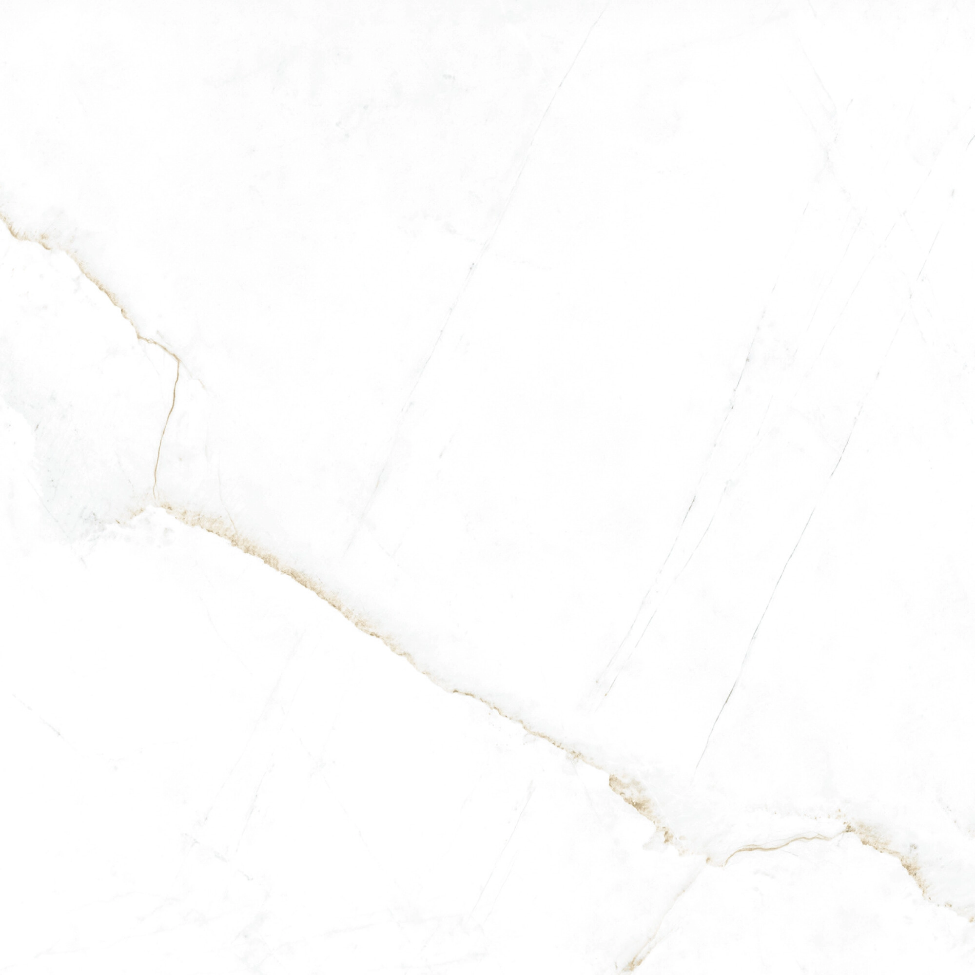 DUAL WHITE SP 100X100 — 2