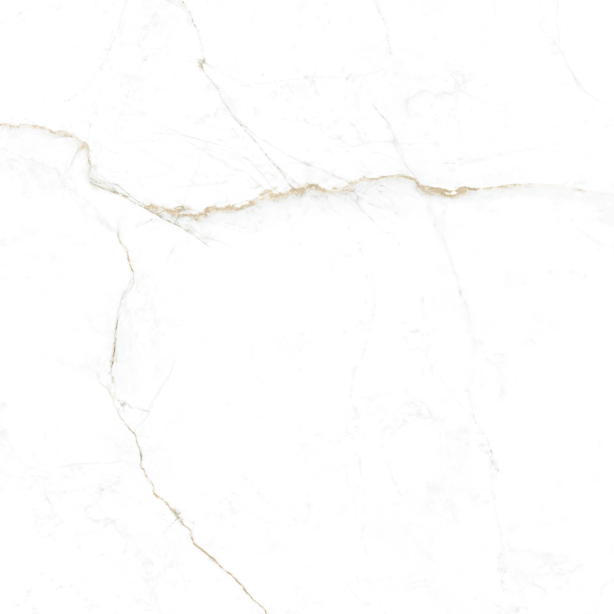 DUAL WHITE SP 100X100 — 3