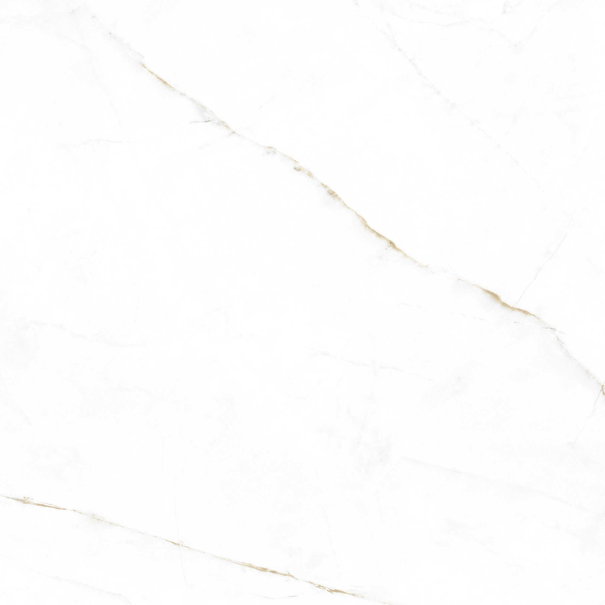DUAL WHITE SP 100X100 — 4