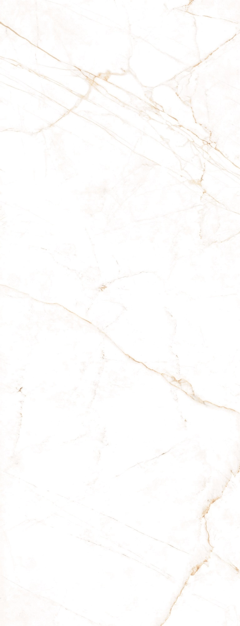 DUAL WHITE SP 100x275