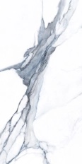 FANTASY ACQUA 60x120