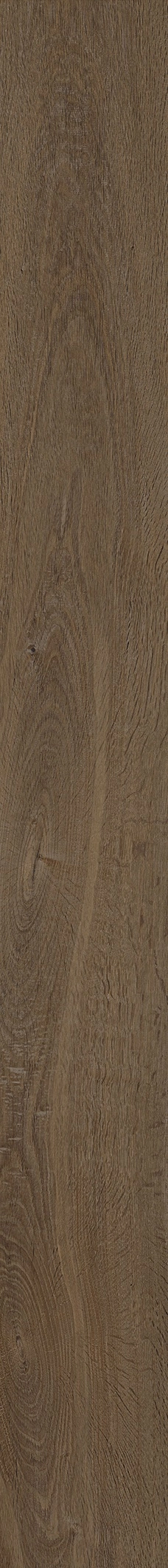 GENT CASTANO 19,3X180