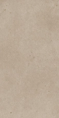 Grain Ash 60x120 Matt