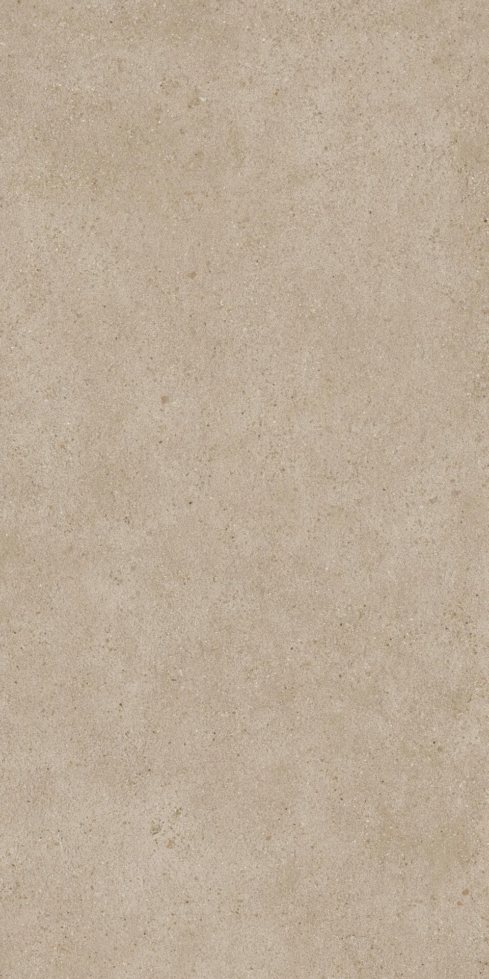 Grain Ash 60x120 Matt — 2