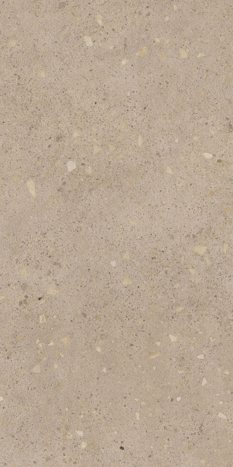 Grain Terrazzo Ash 60x120 Matt