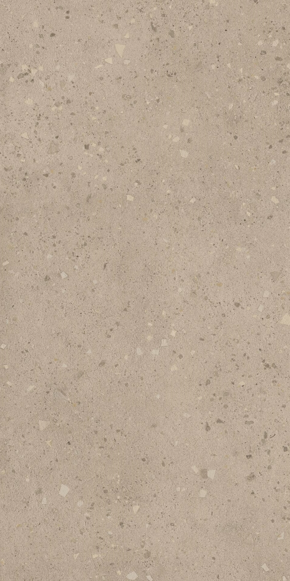 Плитка Grain Terrazzo Ash 60x120 Matt — 2