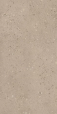 Grain Terrazzo Ash 60x120 Matt