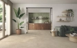 Grain Terrazzo Ivory 60x120 Matt