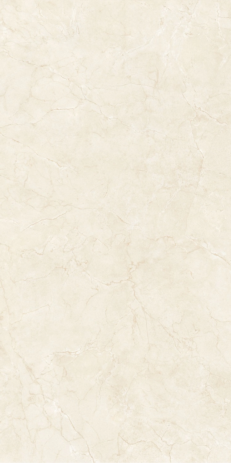 GV.NATIVE LIGHT MAT 60x120