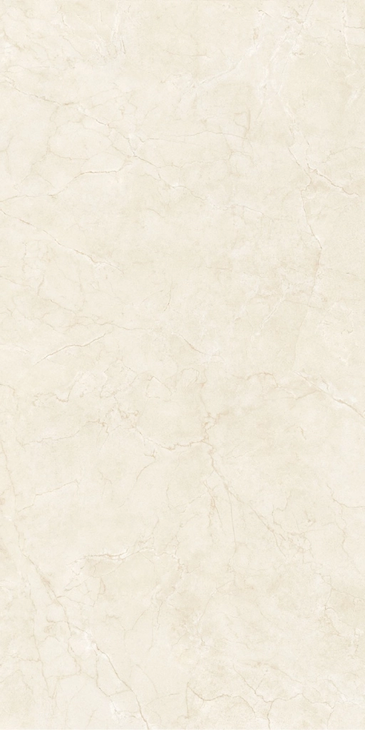 GV.NATIVE LIGHT POL 60x120