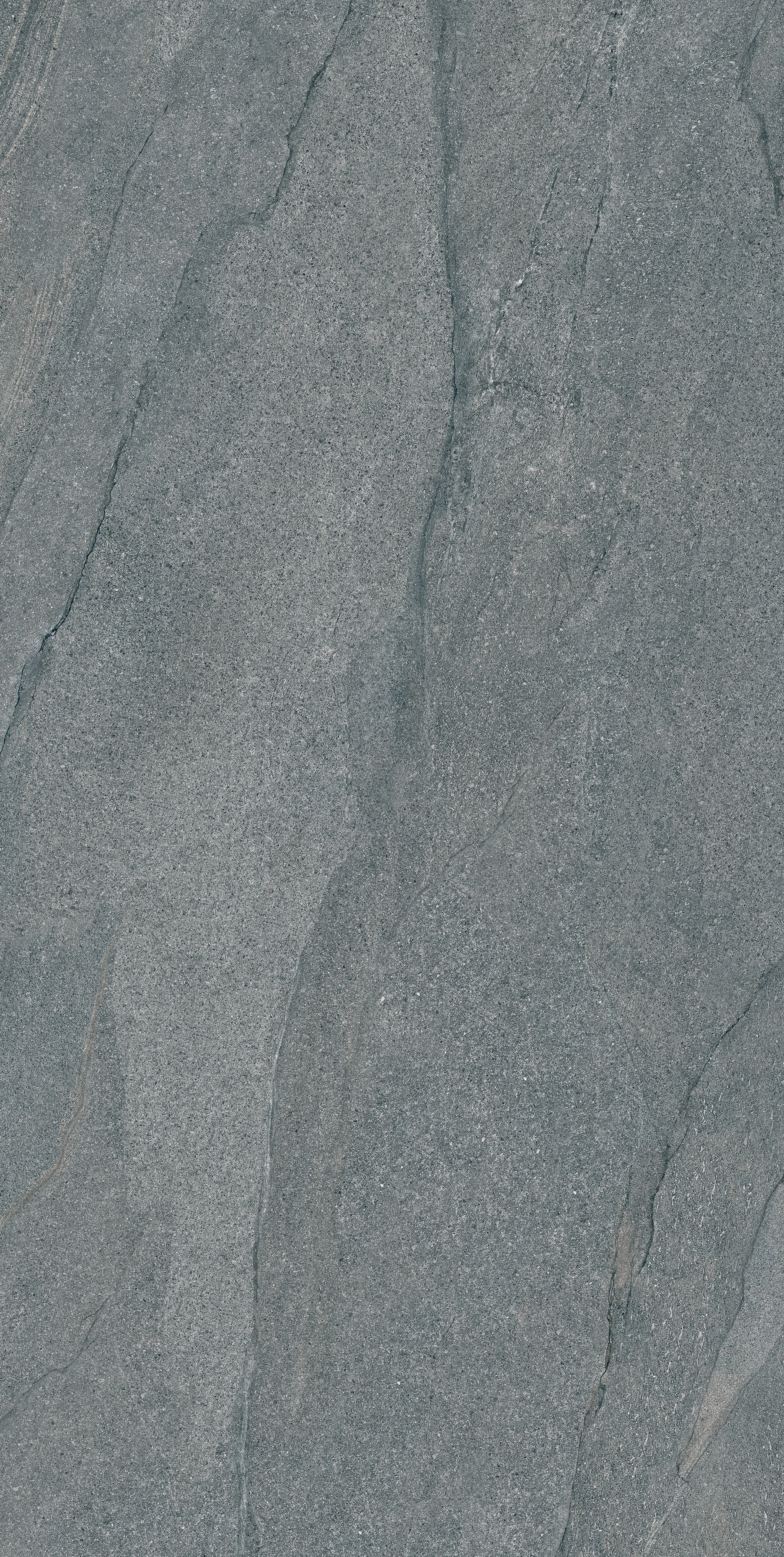 HALLEY ARGENT 60x120 — 3