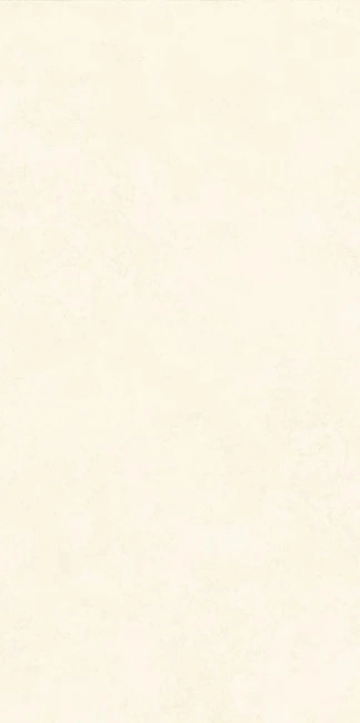 INTONACO WHITE MAT  60x120 — 1