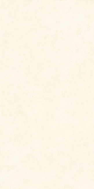 INTONACO WHITE MAT  60x120 — 3