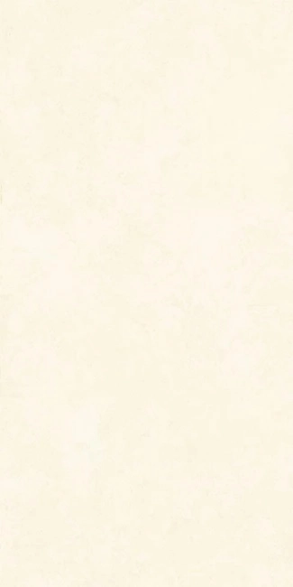 INTONACO WHITE MAT  60x120 — 2