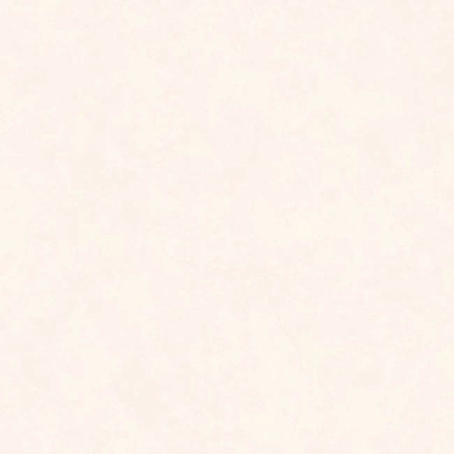 INTONACO WHITE Matte 120x120