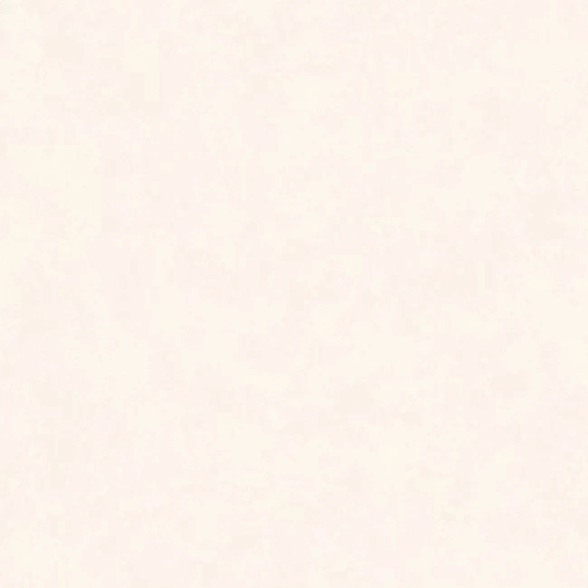 INTONACO WHITE Matte 120x120