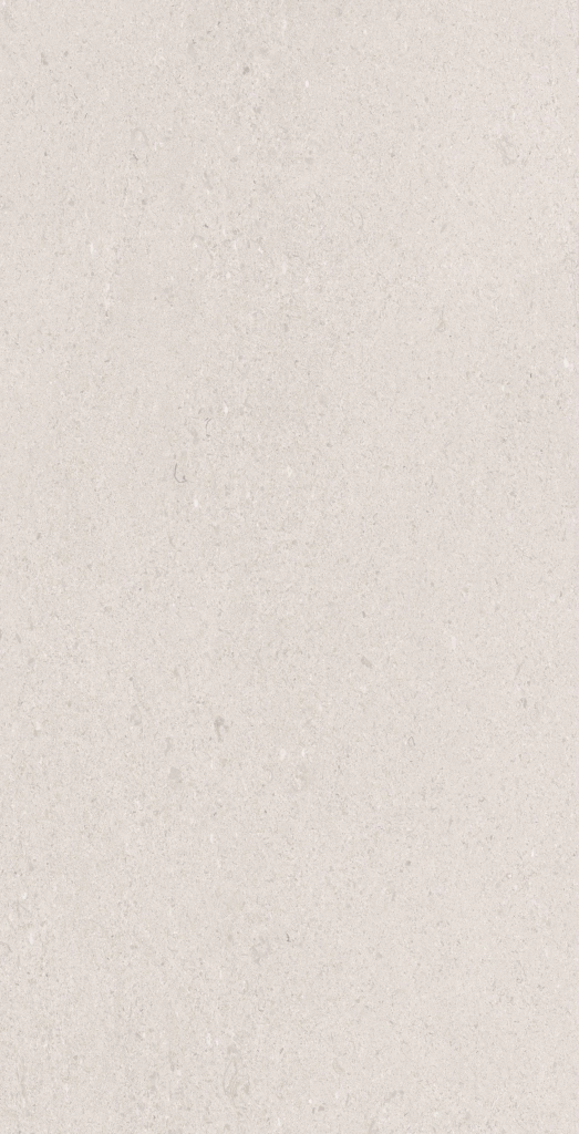 LIME ART GRIS MAT 60x120