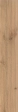 Log Ico MT 20x120