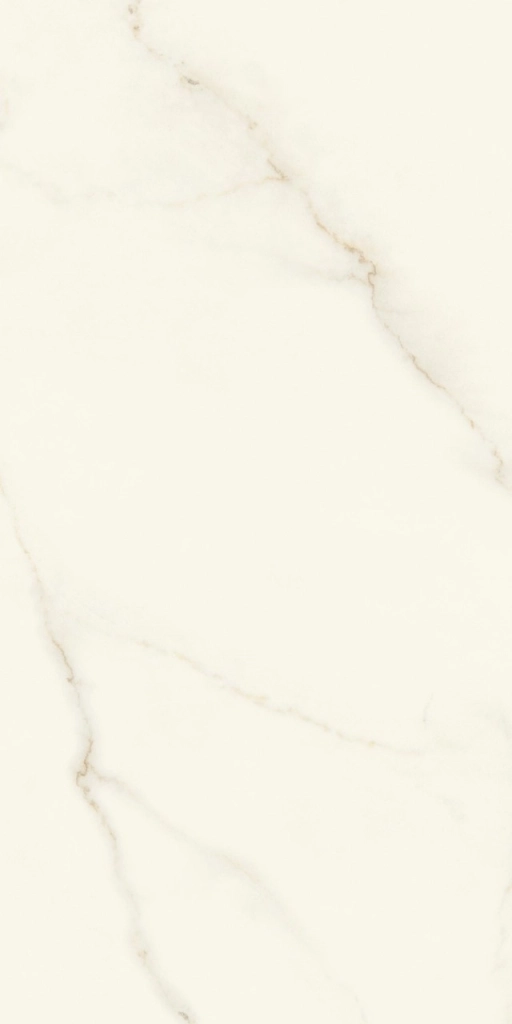 Marvel X Calacatta Apuano 60x120
