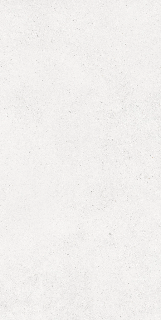 MONTIVER PEARL ANTISLIP 60x120