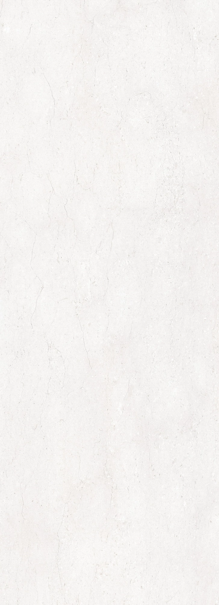 NUMEN WHITE ST 100x278
