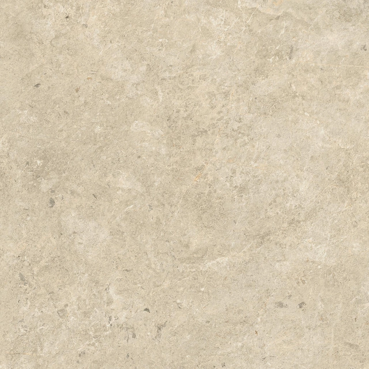 Nyra Sunlight 80x80 — 1