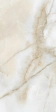 ONICE GOLD 60x120