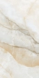 ONICE GOLD POLISH 60x120