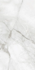 ONICE PEARL 60x120