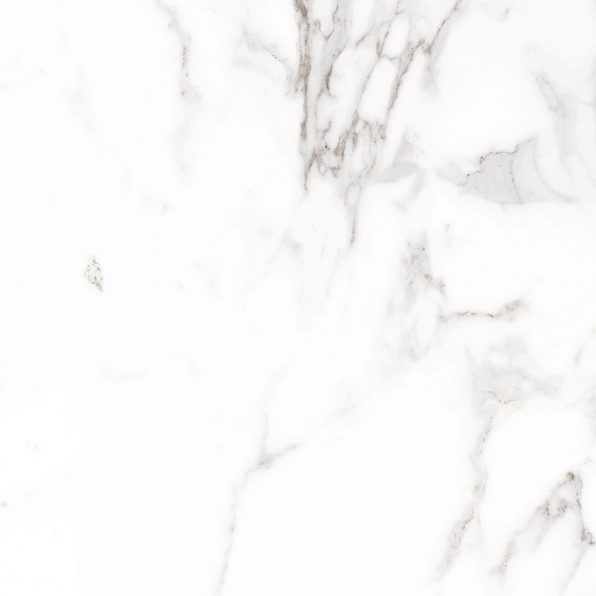 PALATINA BLANCO PL 100x100 — 2