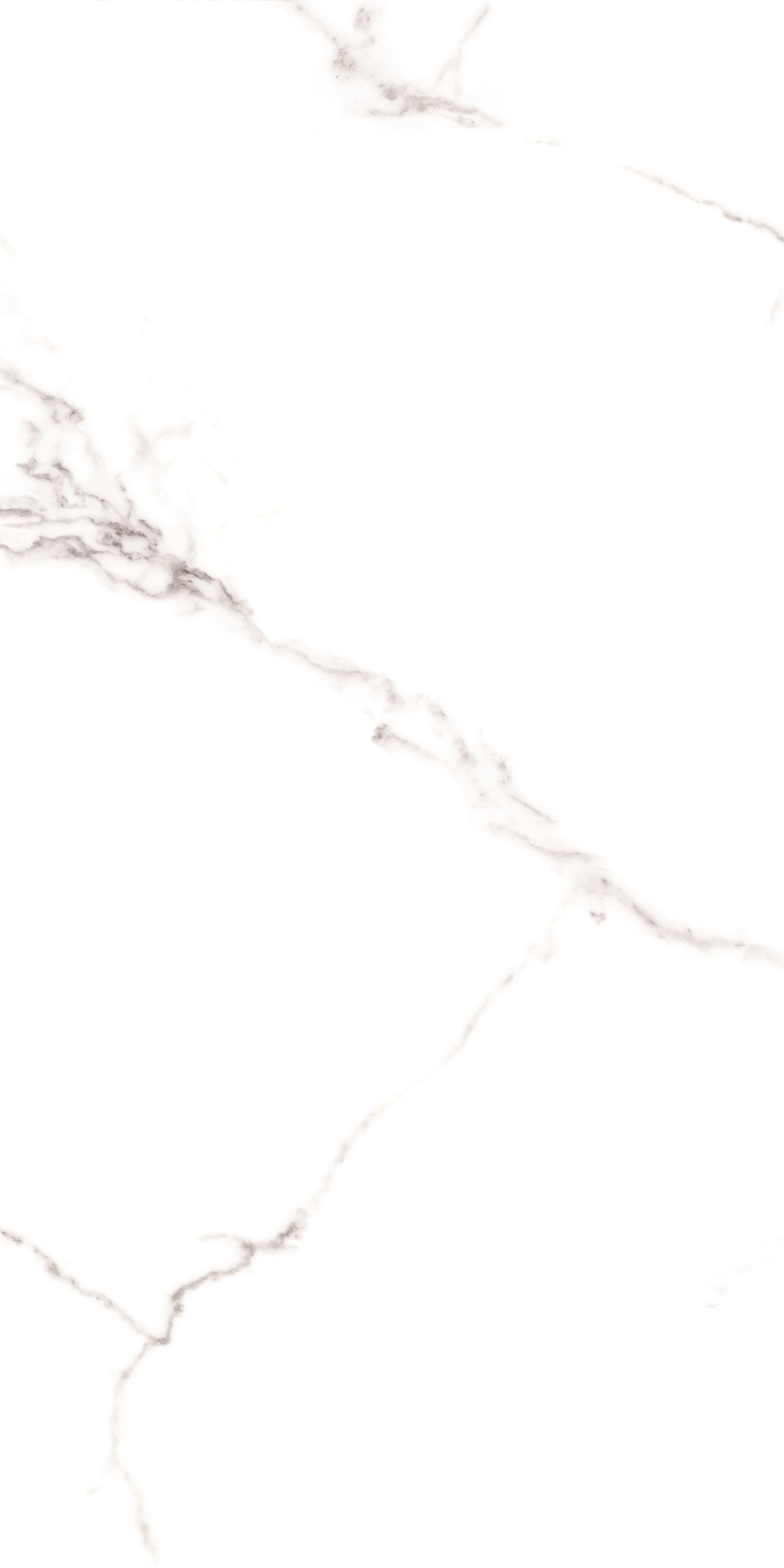 PALATINA BLANCO PL 60x120